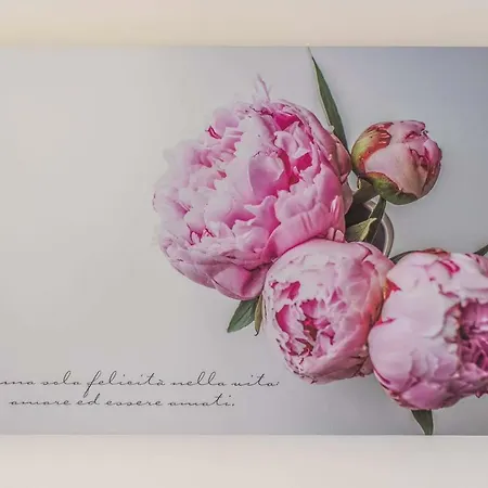 Apartamento Smiling *